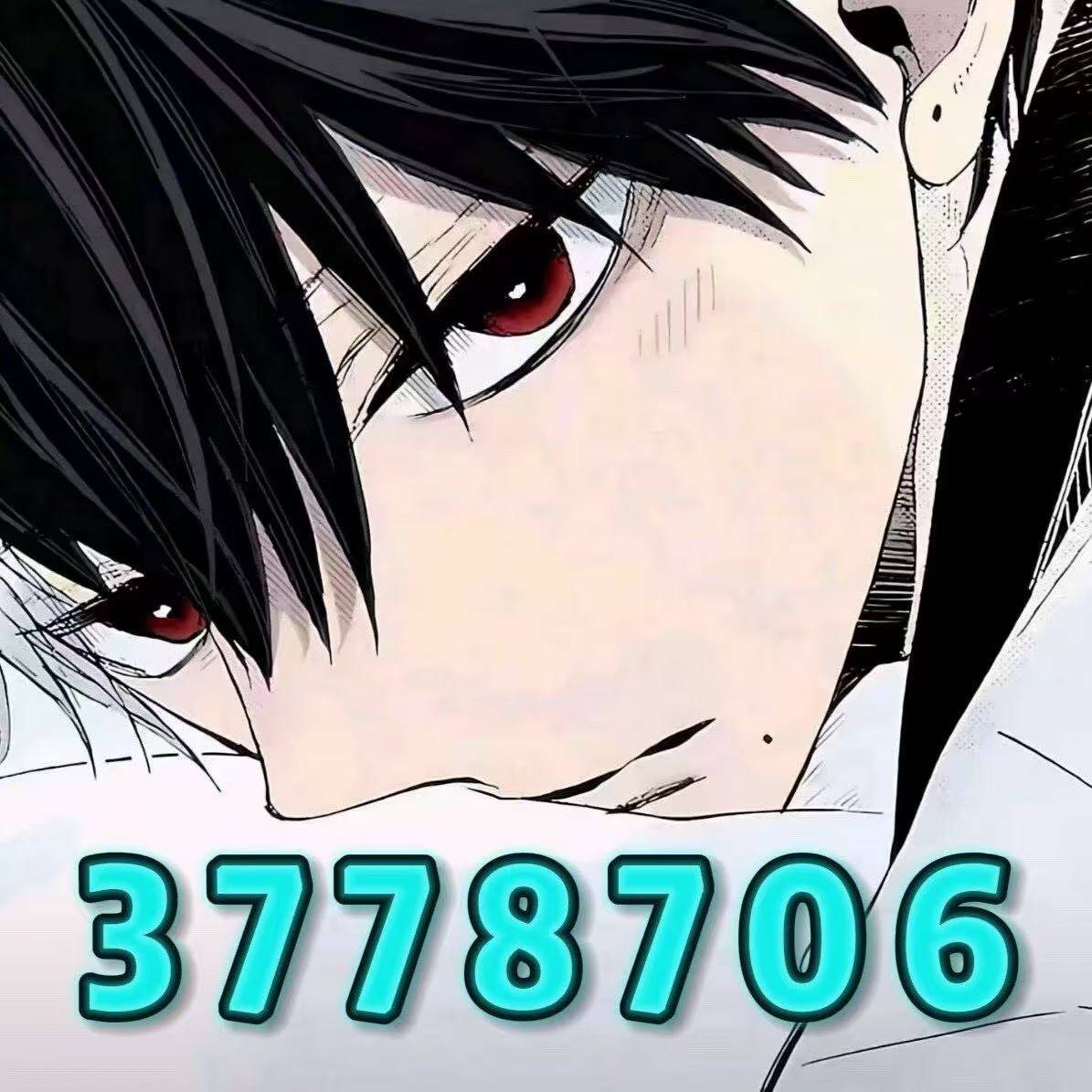 站长旺3778706